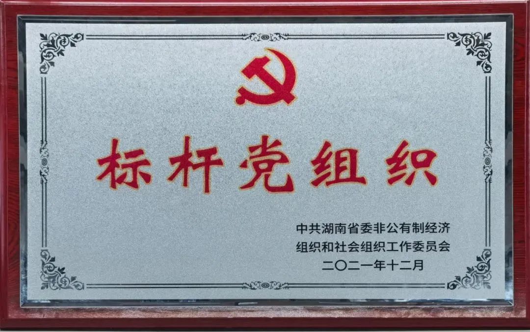 党建品牌亮起来!山河智能党委获评“标杆党组织”